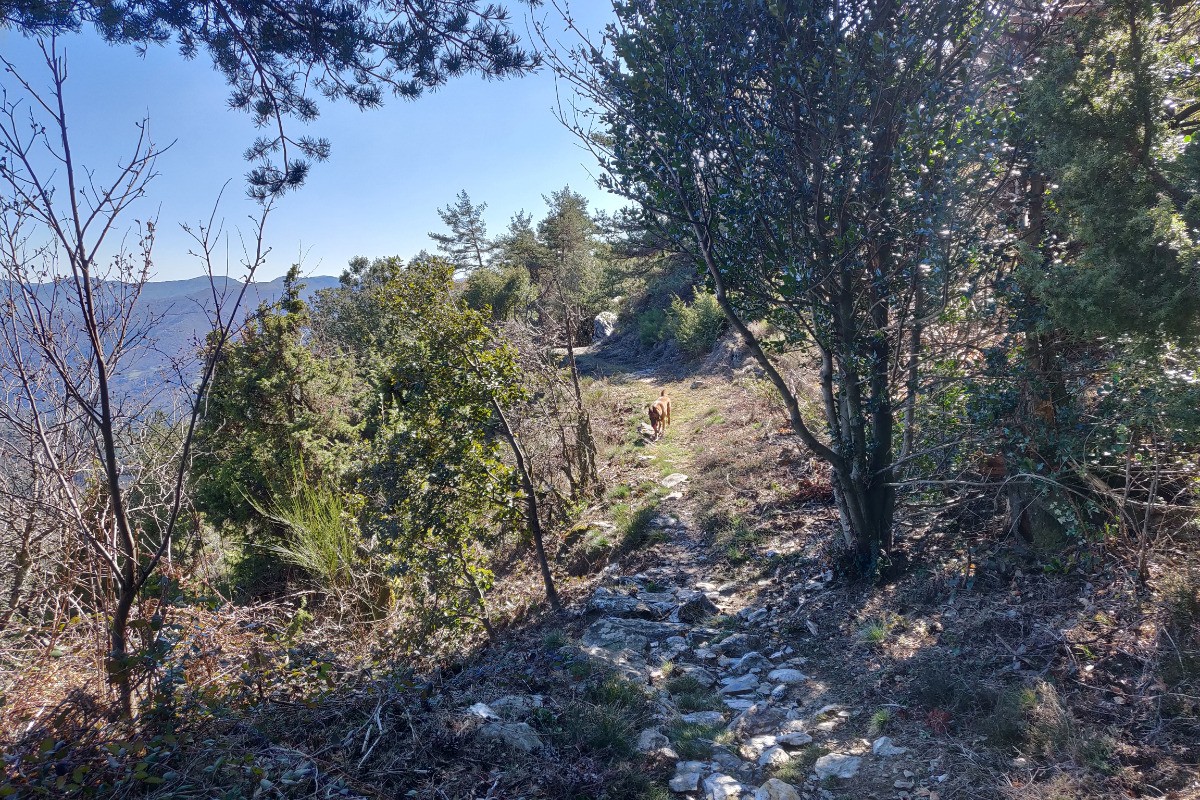 Randonnées en Cévennes
