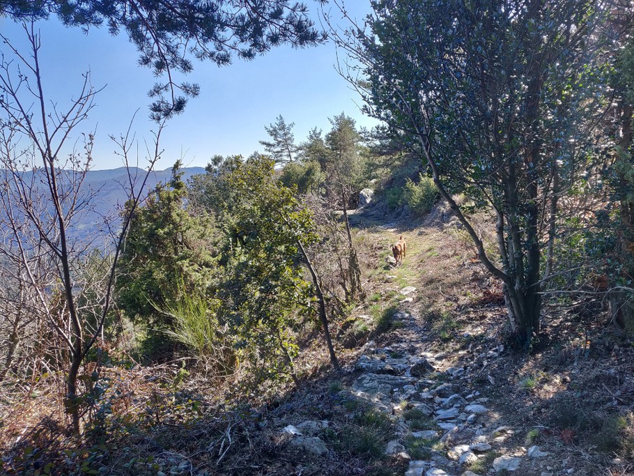 Randonnées en Cévennes
