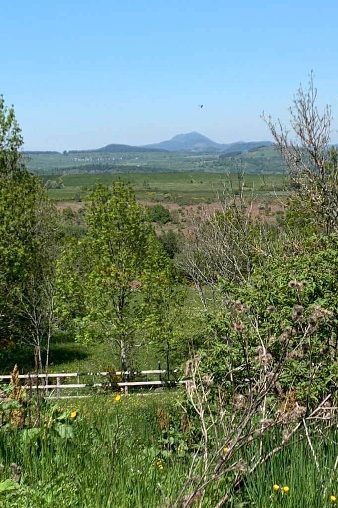Vue de la terrasse