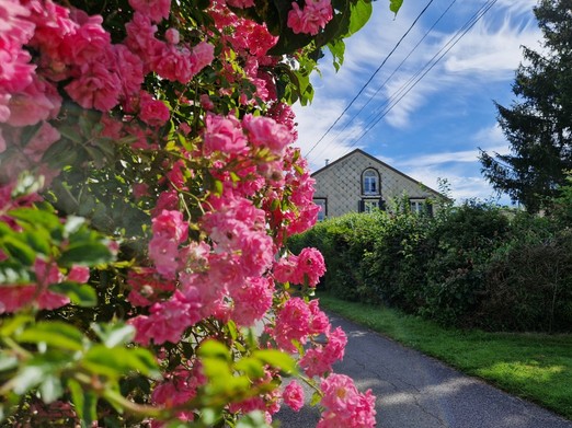 Gîte Vosgien Chez Capucine et Mirabelle à BELLEFONTAINE 88
