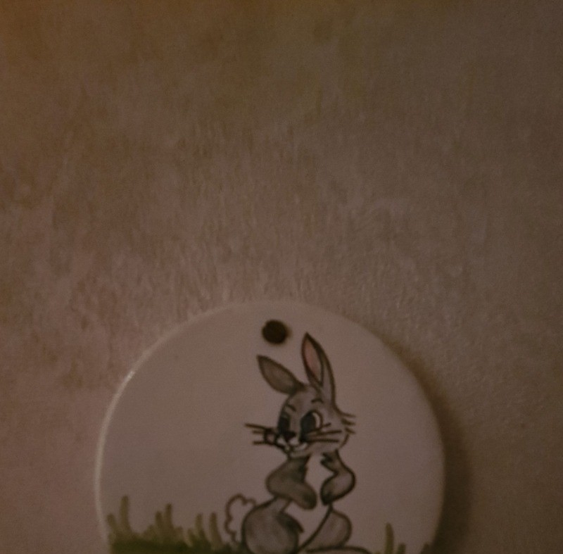 Chambre d'hôtes LAPIN "Le Logis des Granges" près de Surgères, La Rochelle en Charente maritime