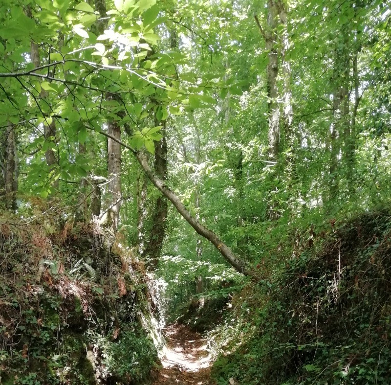 Photo n° 18 de la location