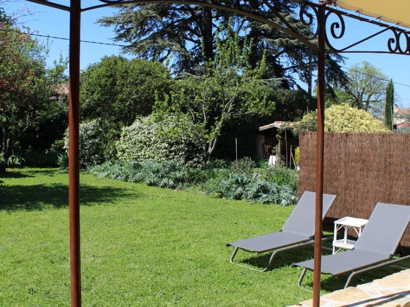 Les cèdres centenaire