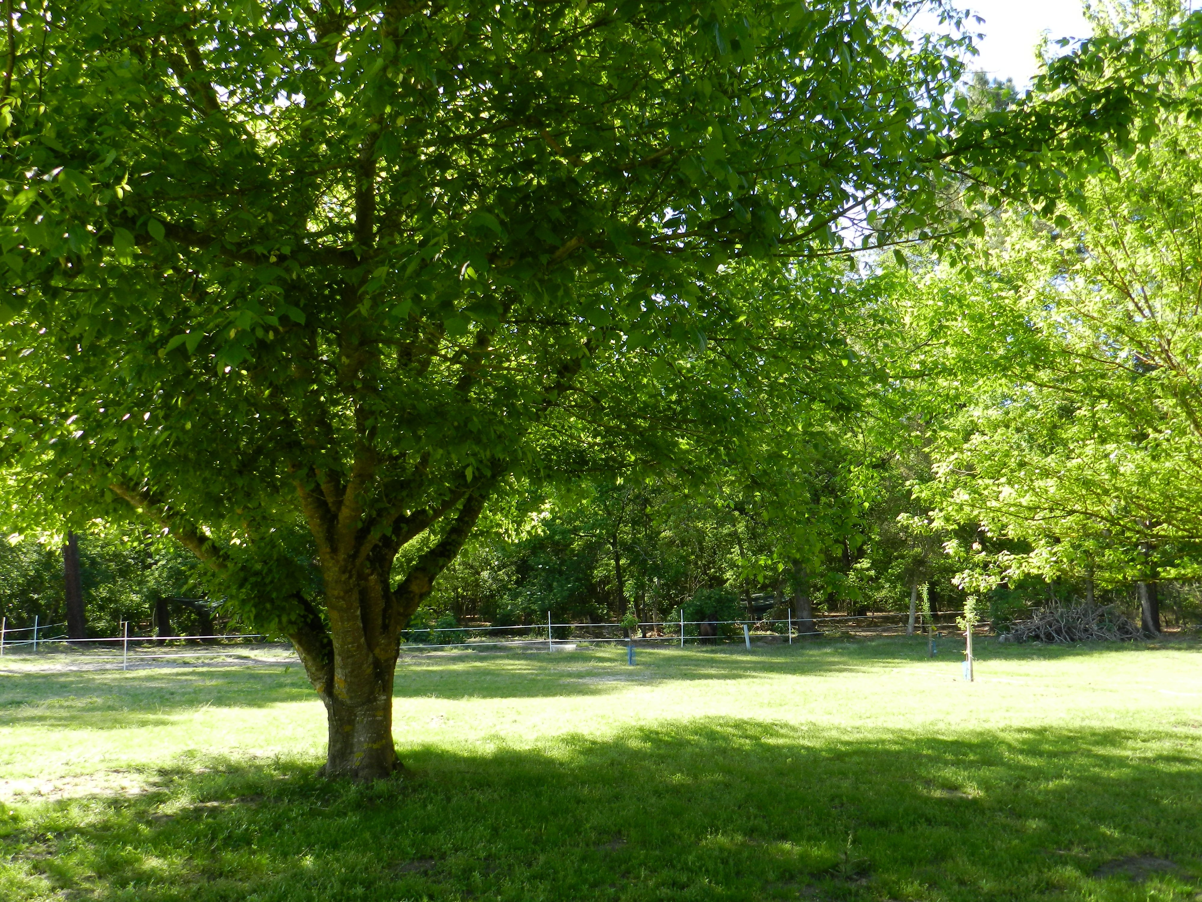 Photo n° 9 of the location