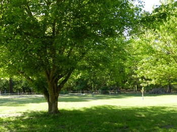 Photo n° 9 of the location
