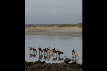 équitation à laTorche
