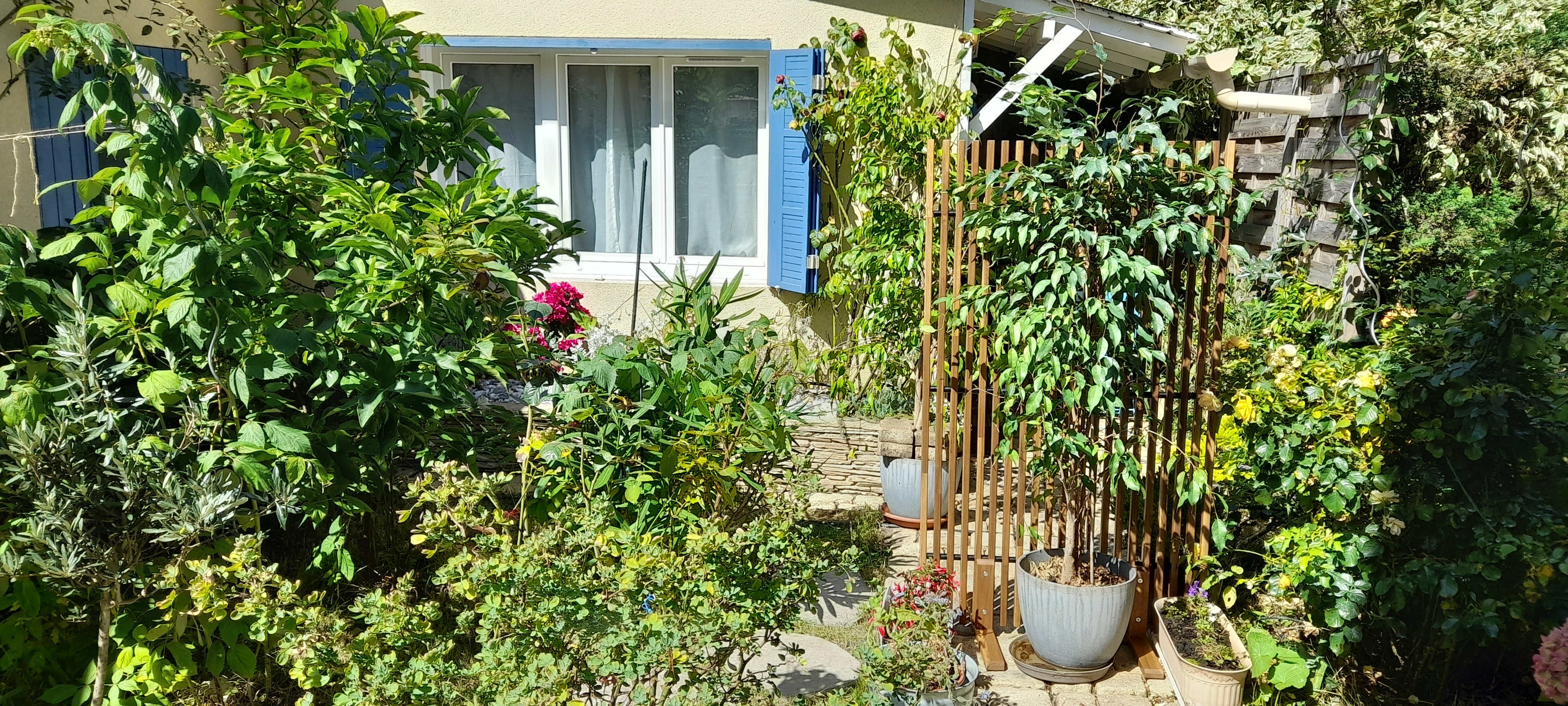Photo n° 2 de la location