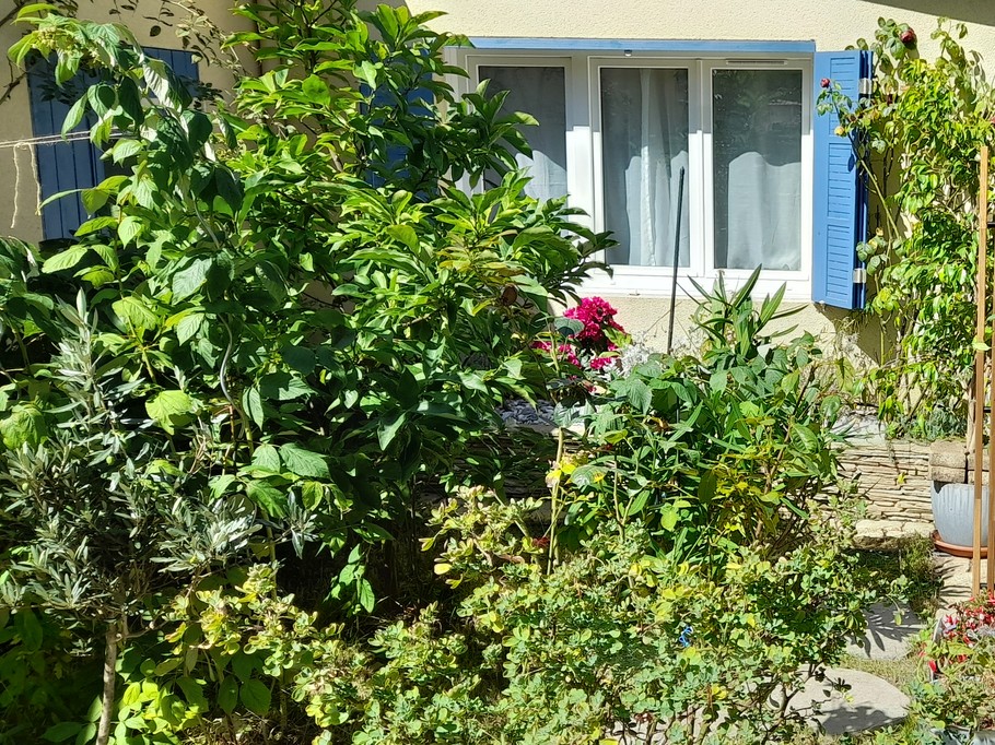 Photo n° 2 of the location