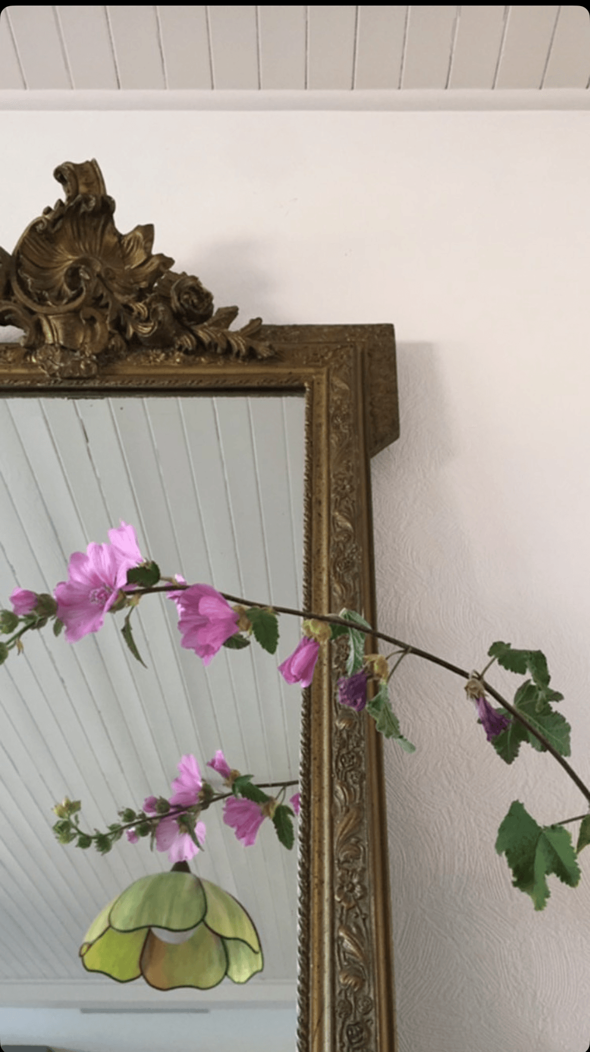 Photo n° 14 de la location