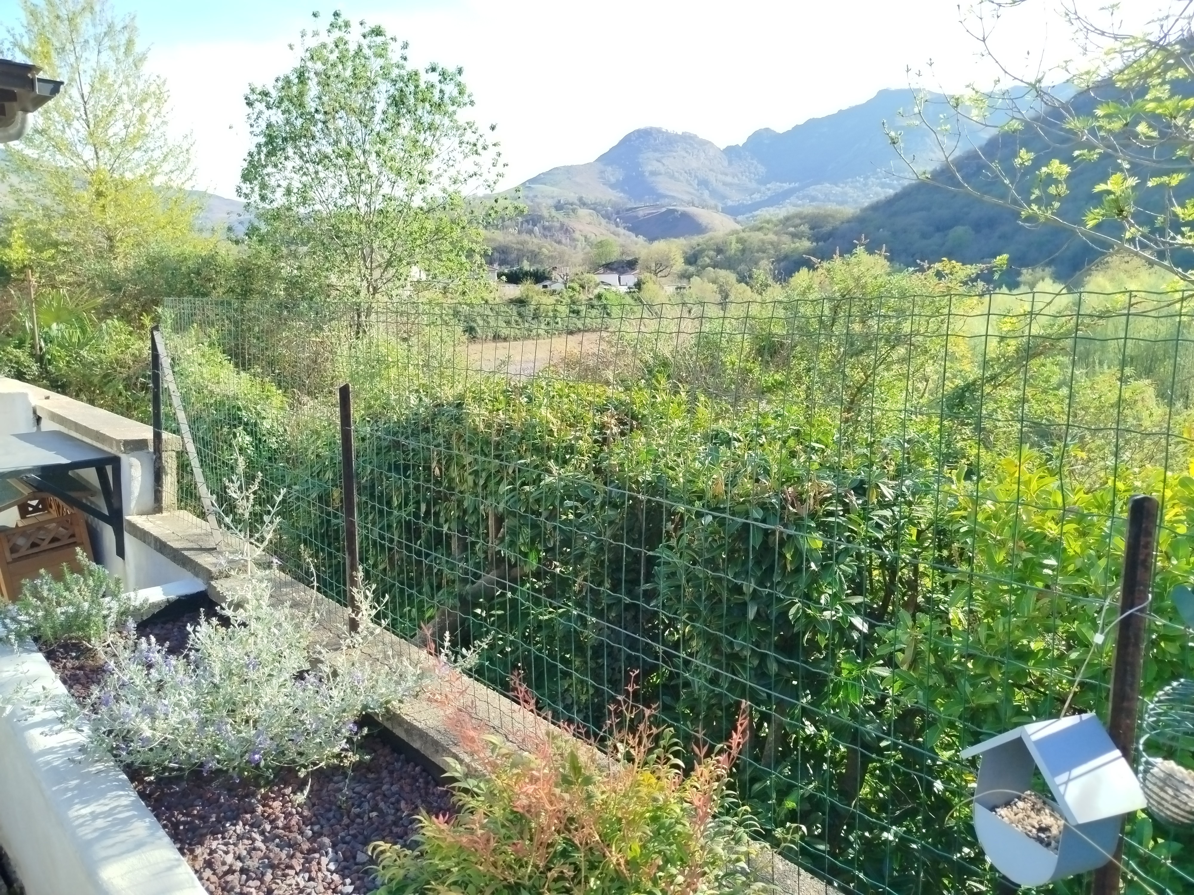 Photo n° 4 of the location