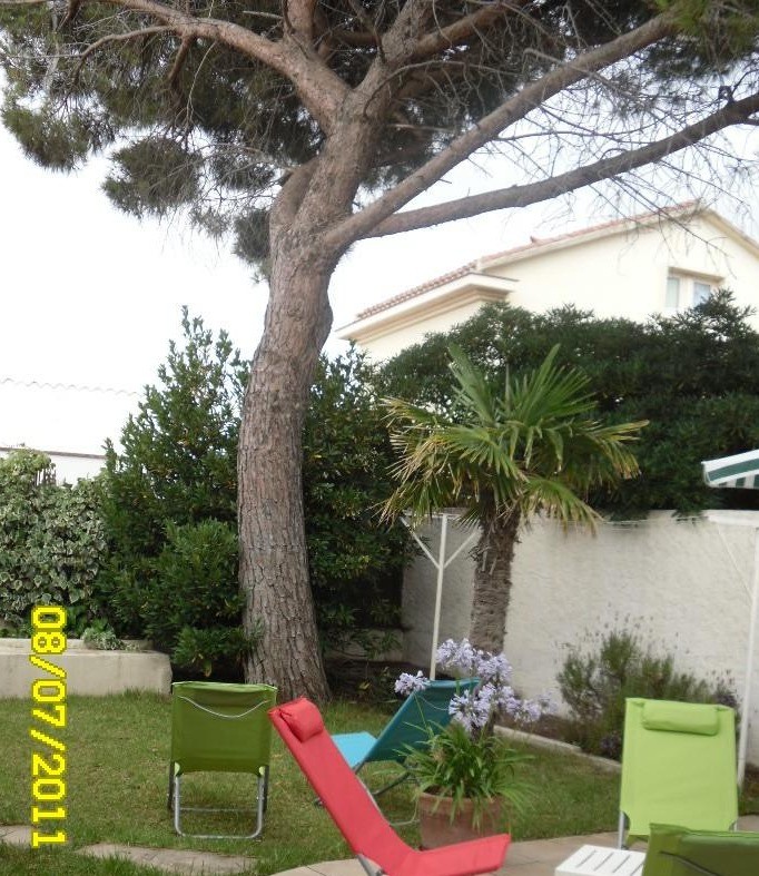 Photo n° 7 de la location