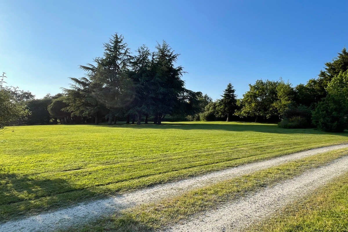 Le parc arboré