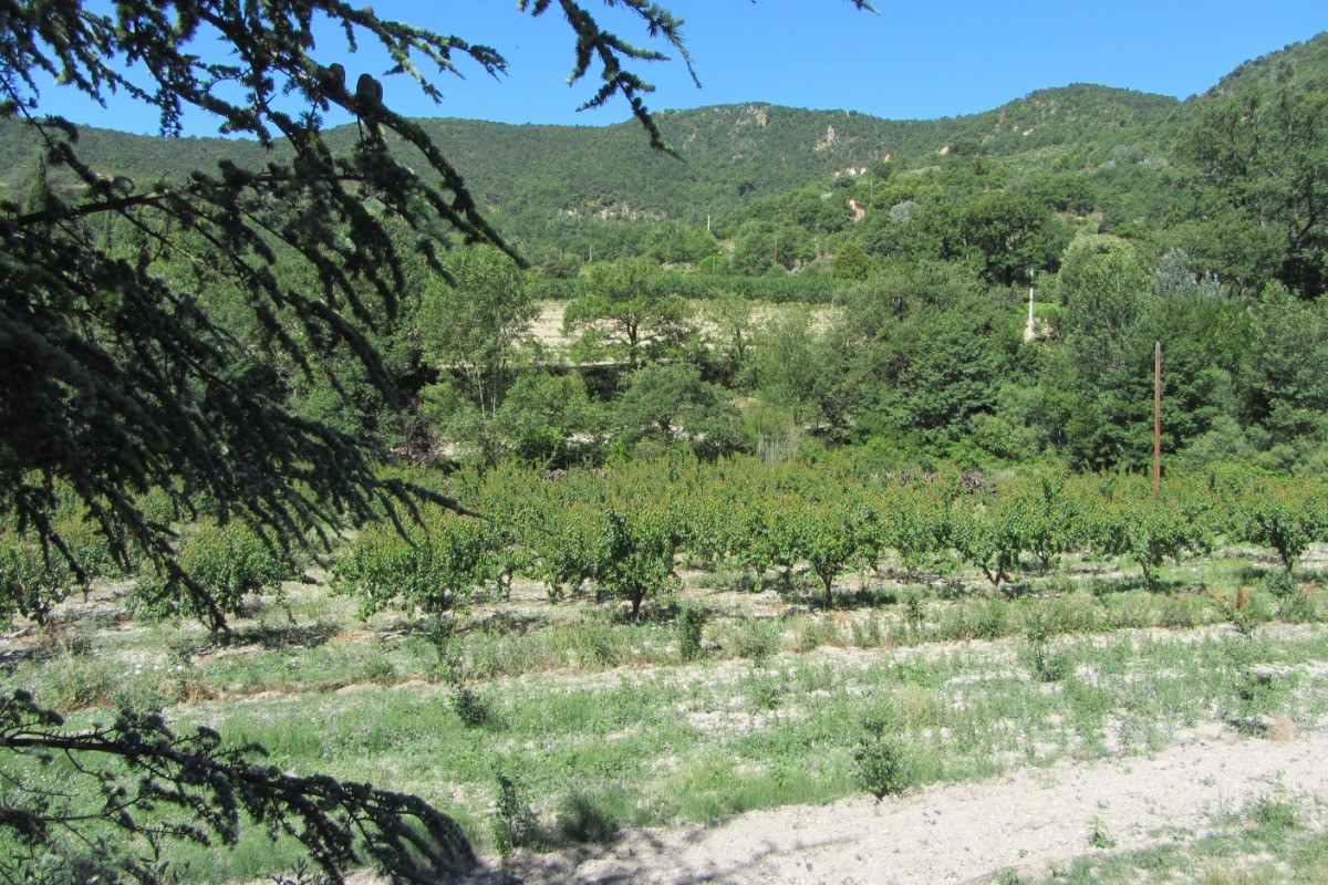 Photo n° 7 of the location
