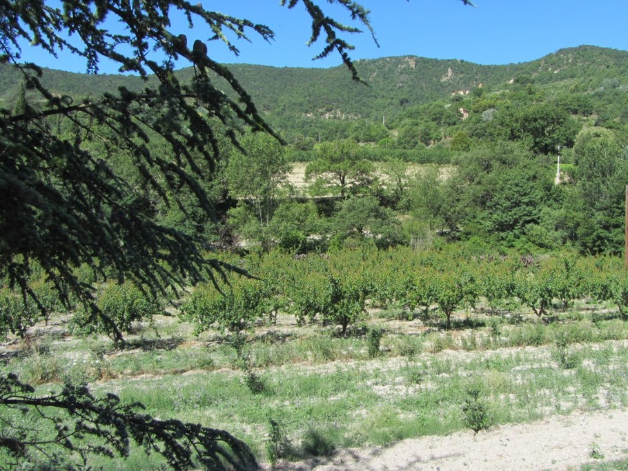 Photo n° 7 de la location