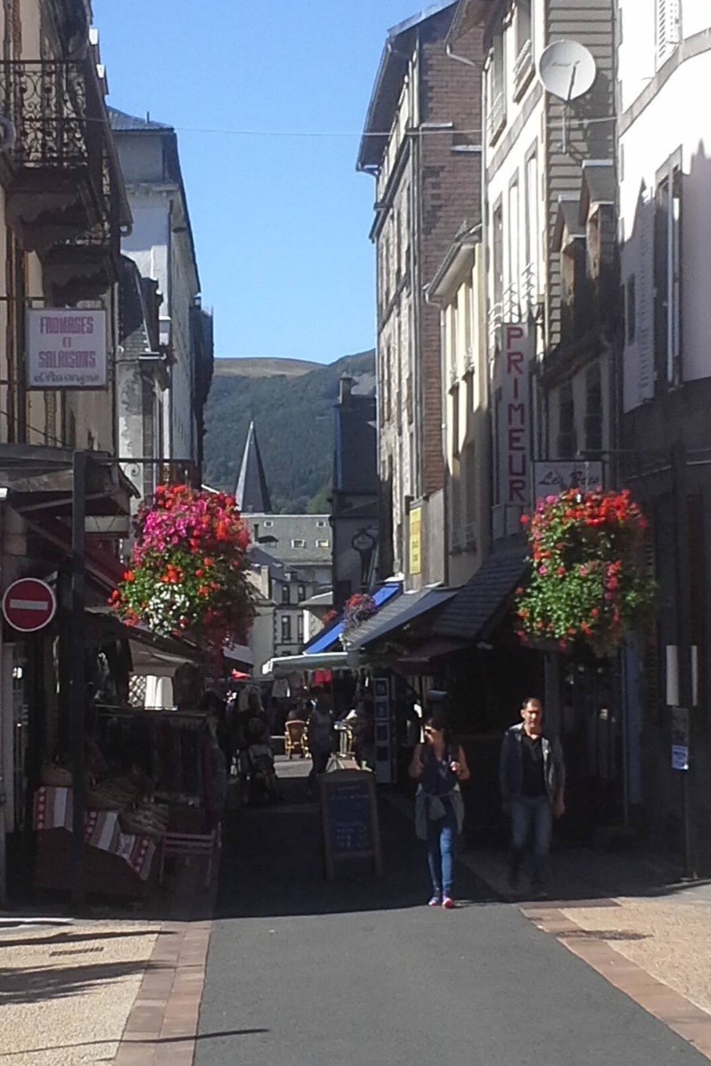 Le Nid douillet - Mont Dore