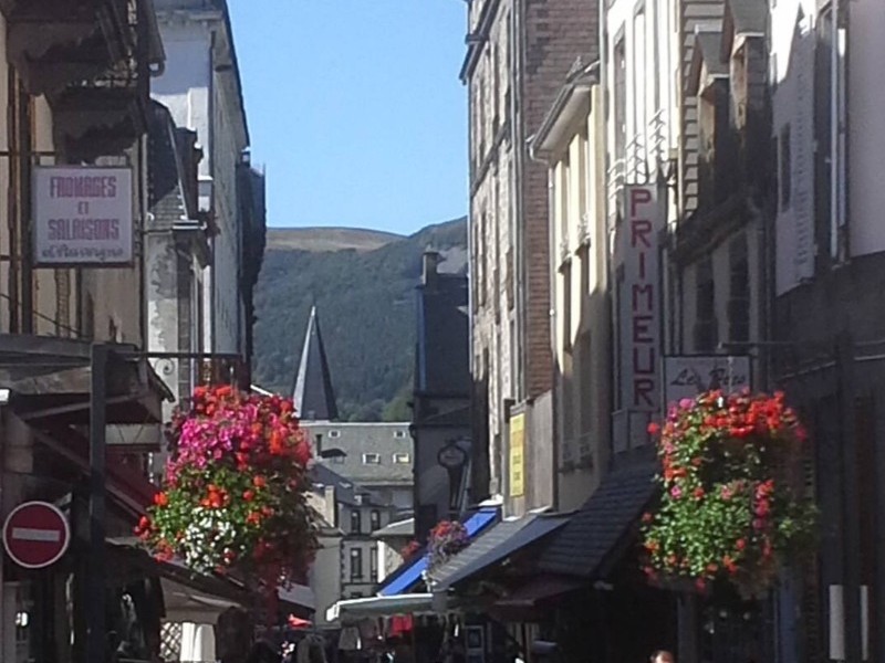 Le Nid douillet - Mont Dore