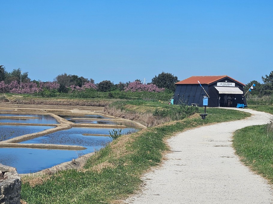 Le port des Salines in Grand Village on the Ile d'Oléron, next to the house Les Trémières for 6 people with enclosed garden