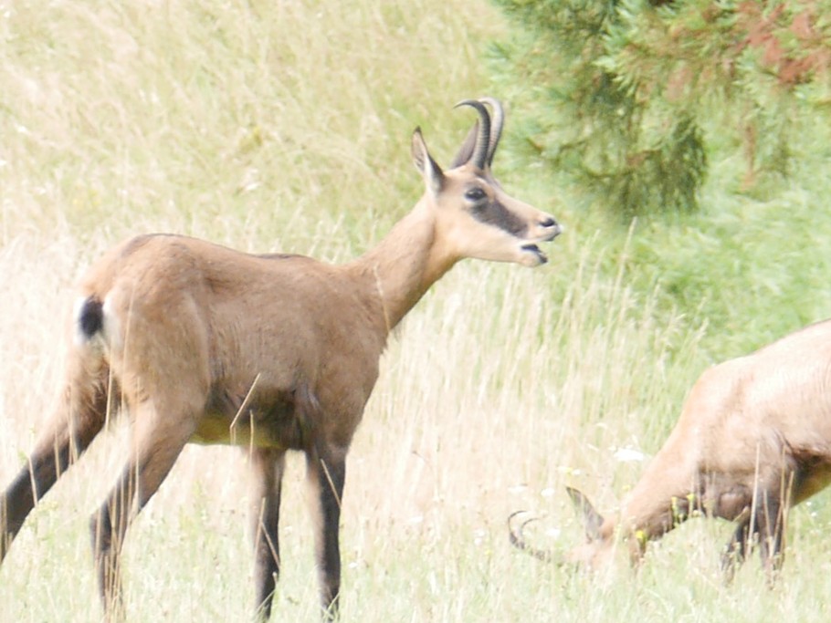 Photo n° 20 de la location