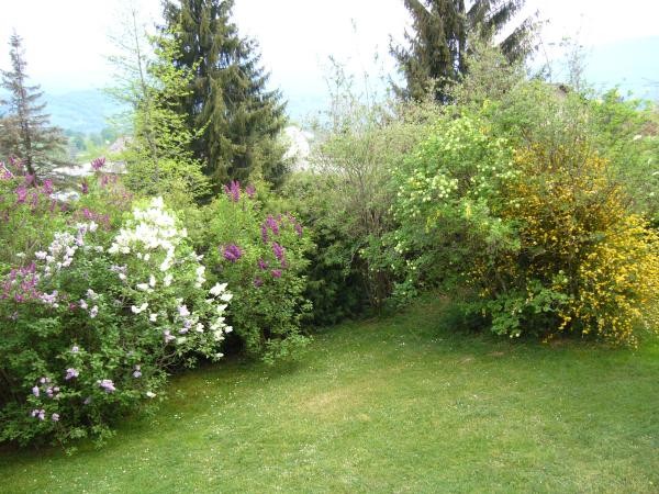 Photo n° 18 de la location
