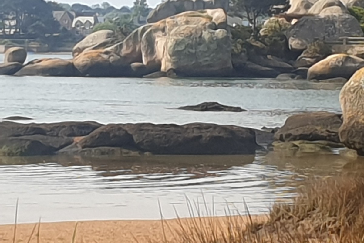 Côte de granit rose à 20mn