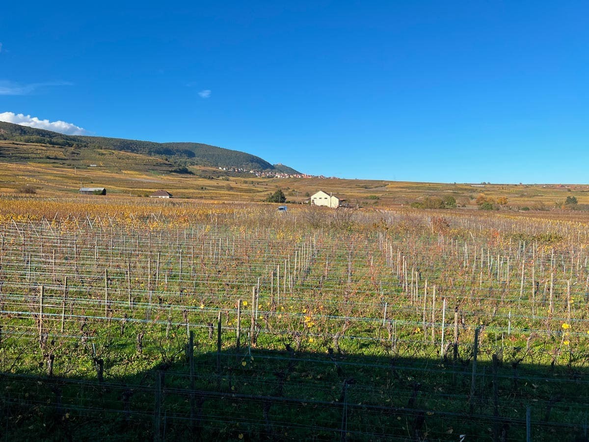 Photo n° 16 of the location