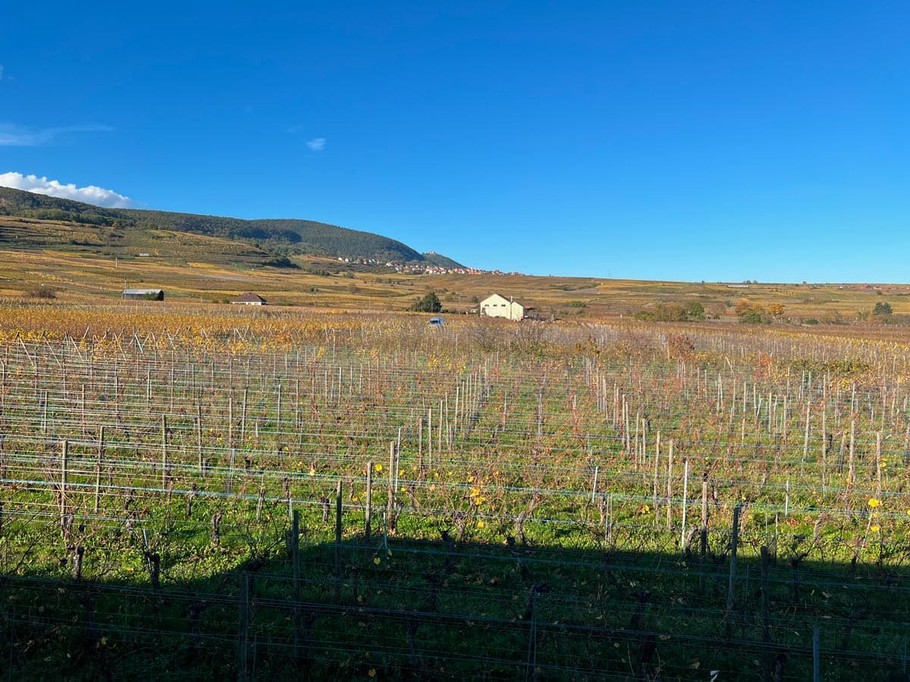 Photo n° 16 de la location