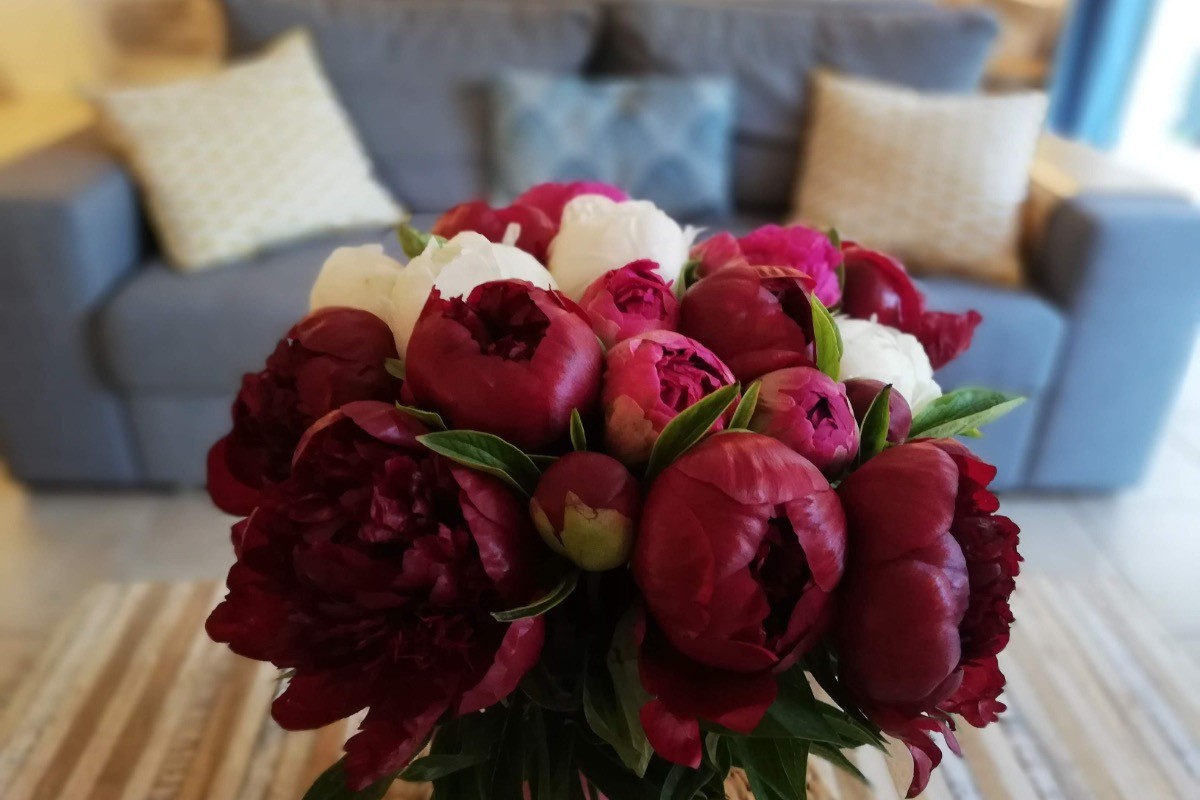 Salon - Espace détente - La Pinède Guesthouse - Gîte - Vielle-Saint-Girons - Landes -
Crédit photo : Céline