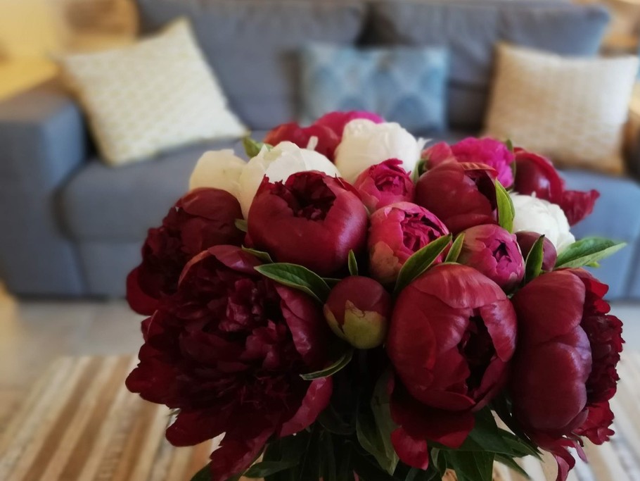 Salon - Espace détente - La Pinède Guesthouse - Gîte - Vielle-Saint-Girons - Landes -
Crédit photo : Céline