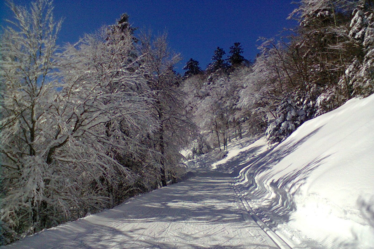 Les pistes de couraduque