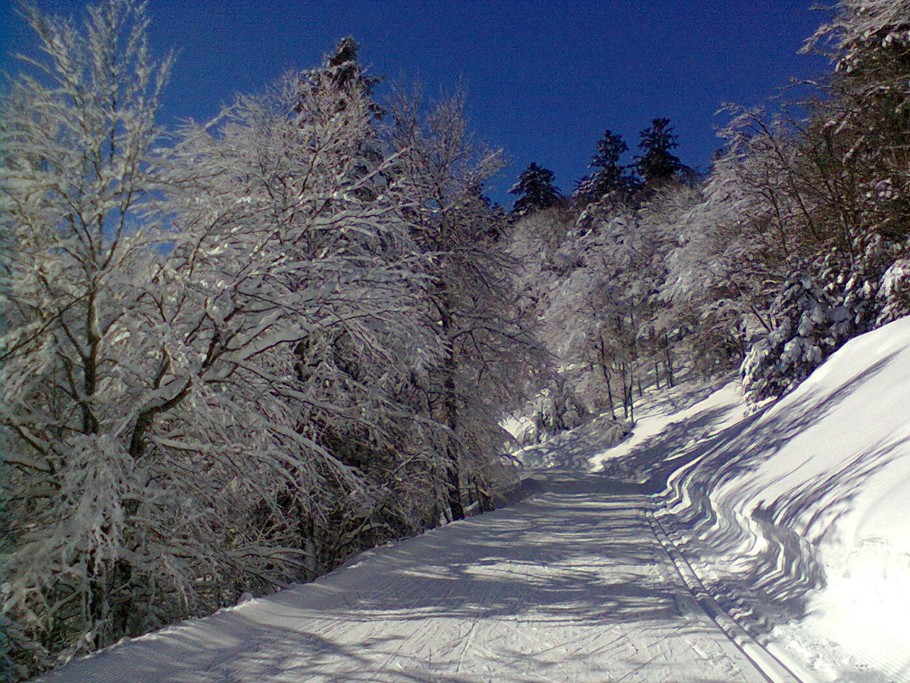 Les pistes de couraduque