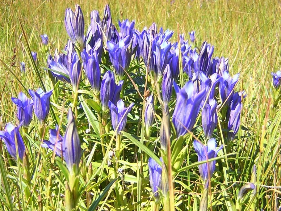 Photo n° 19 of the location