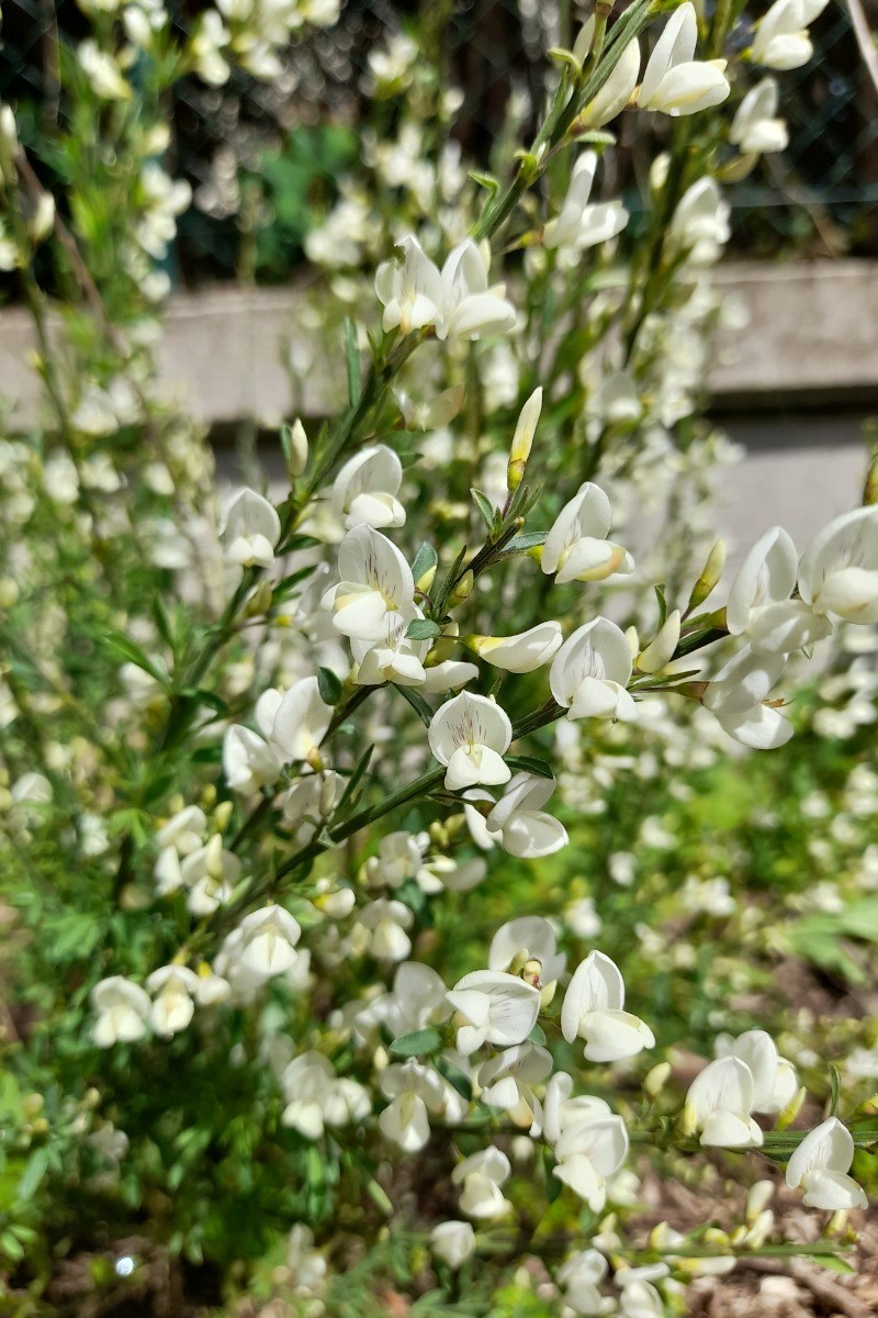 Photo n° 20 of the location