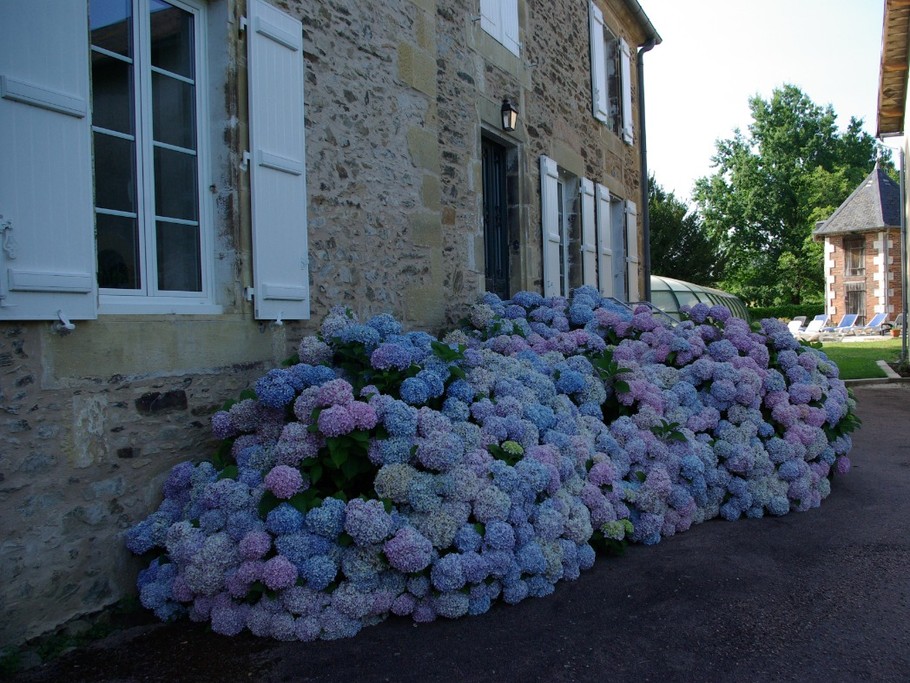 Jardin