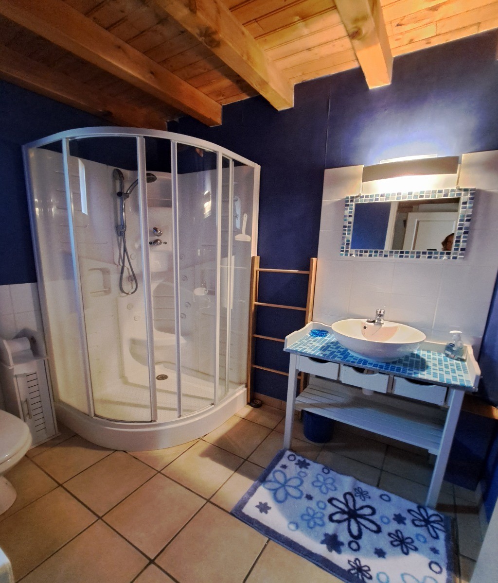 Salle d'eau rez-de-chaussée.