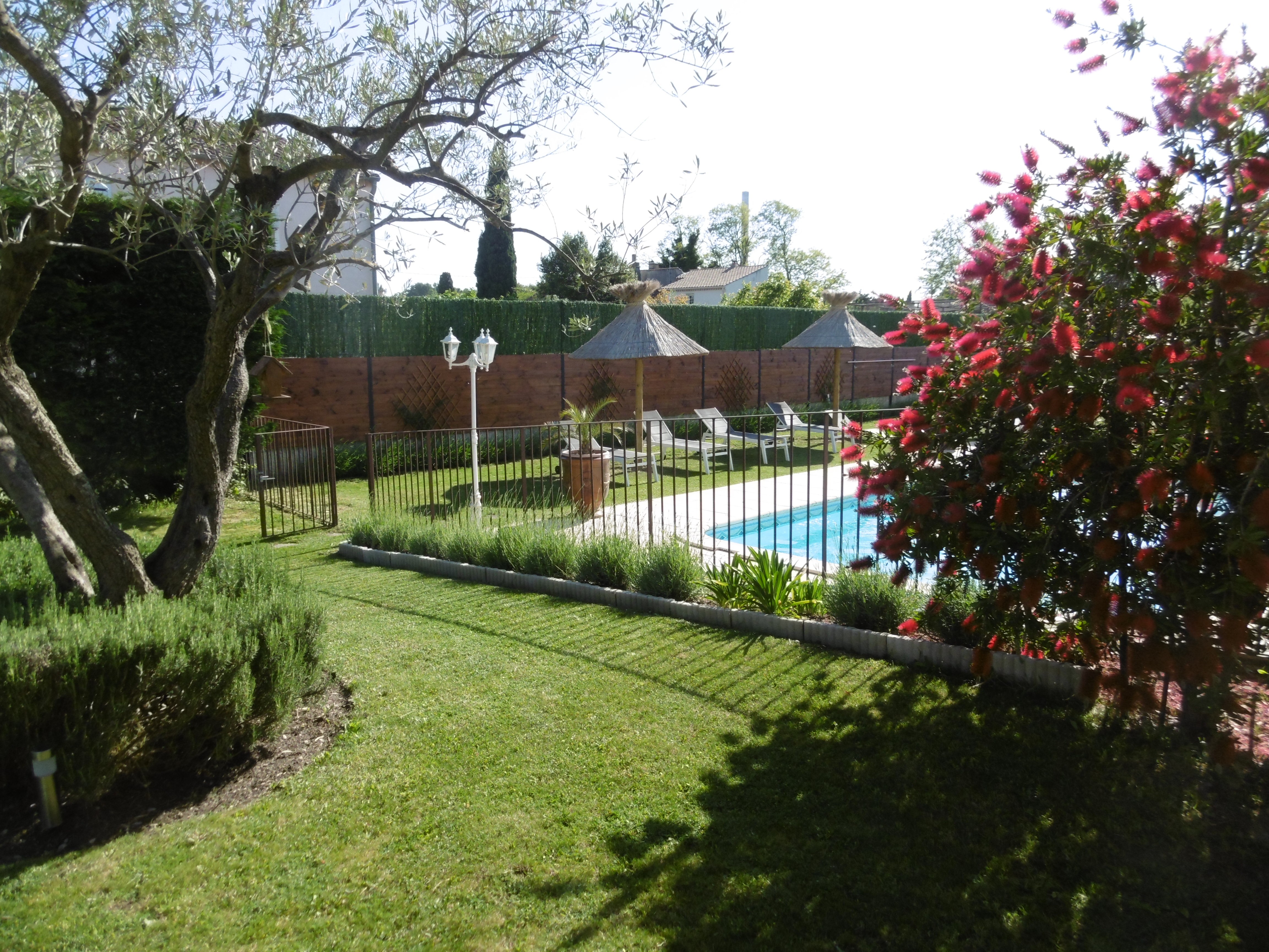 the garden