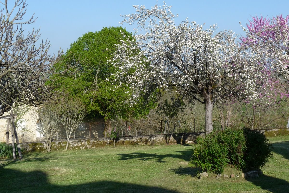 Le parc en fleurs