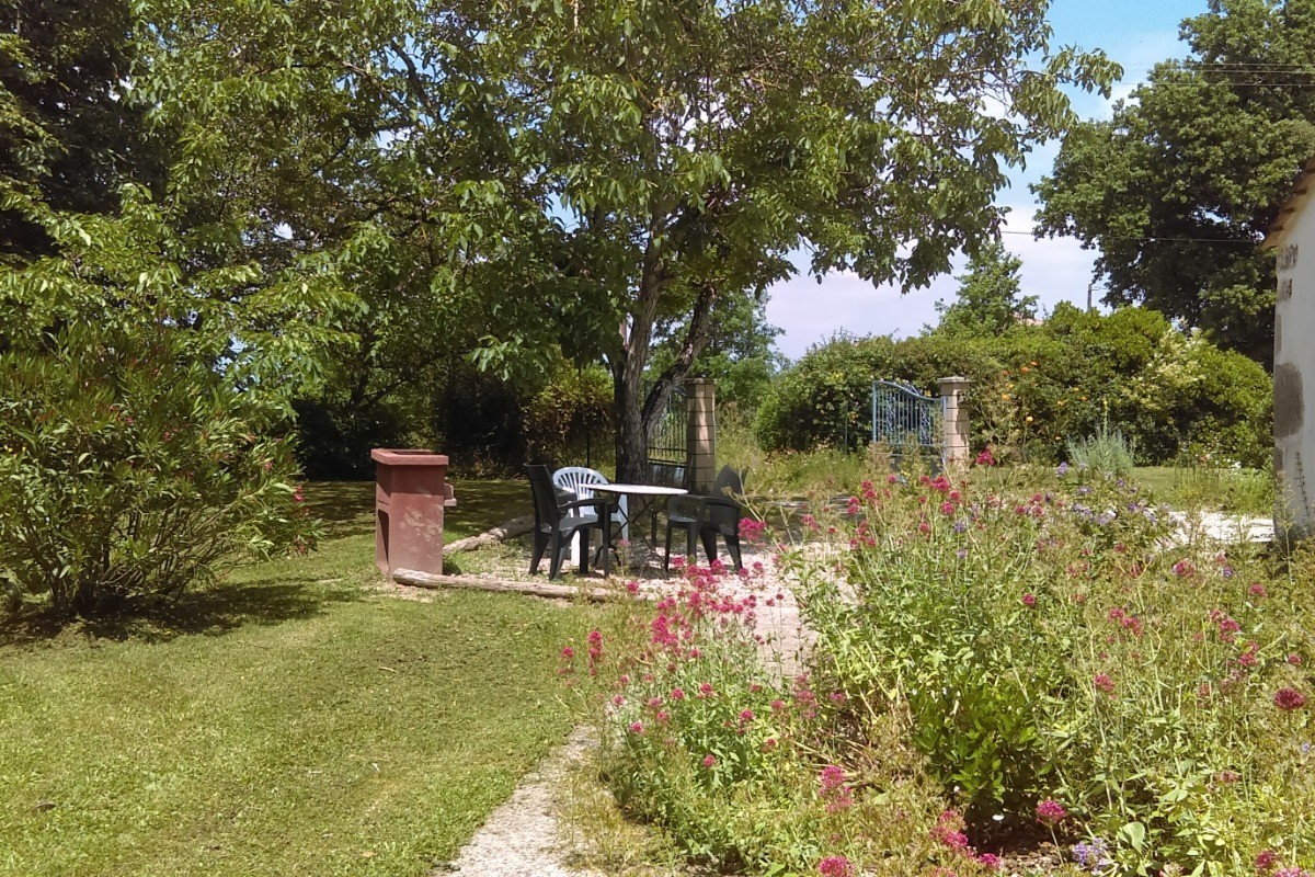 Le jardin en été