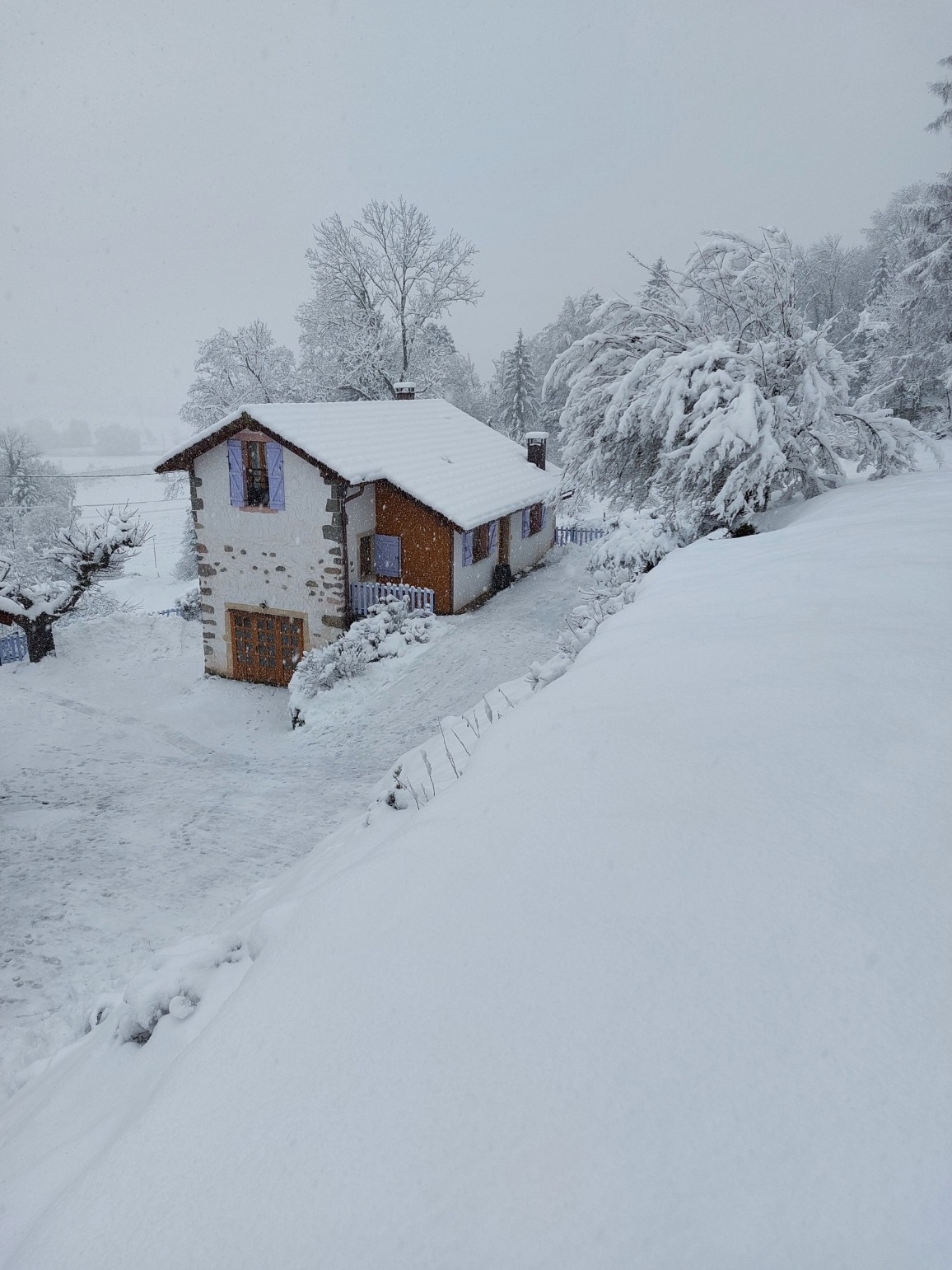 gite les azalées sous la neige