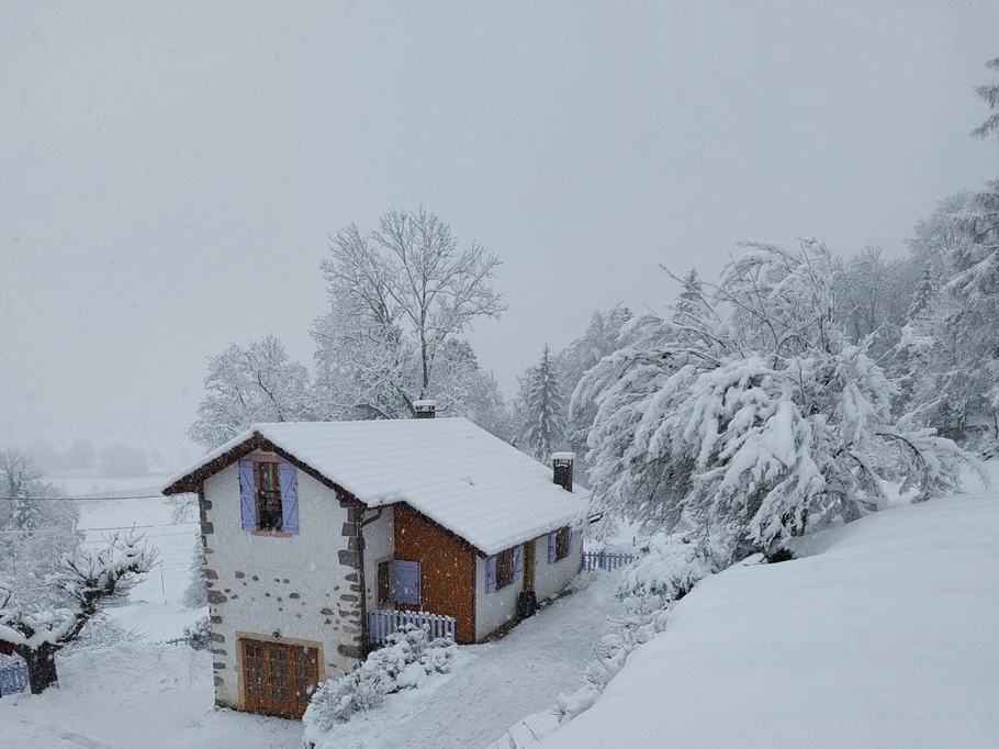 gite les azalées sous la neige