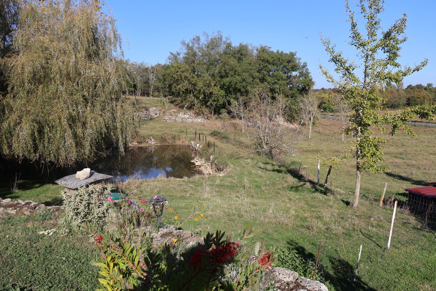 Photo n° 7 de la location