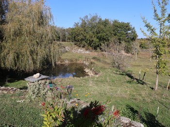 Photo n° 7 de la location