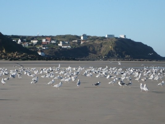 Photo n° 13 de la location