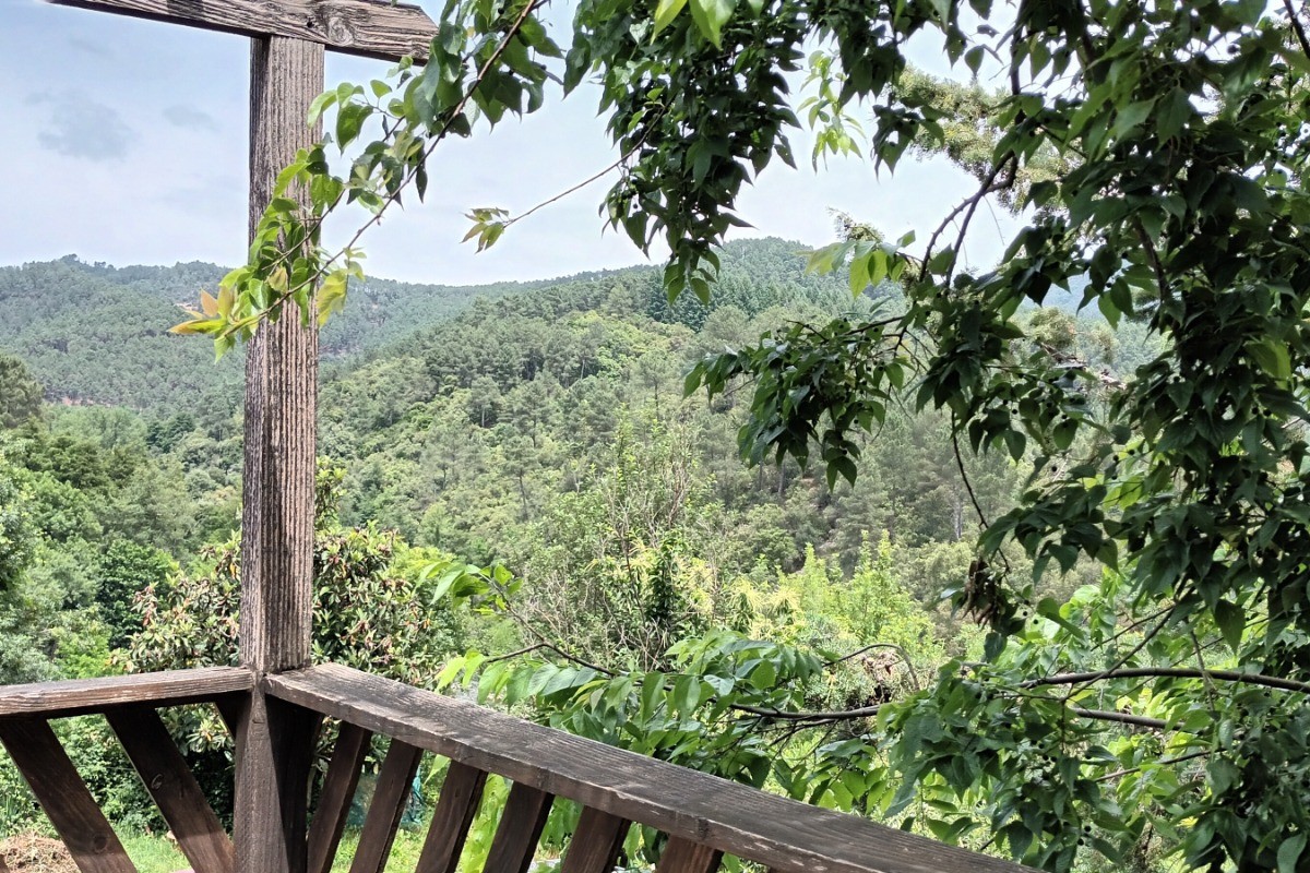 Photo n° 9 of the location