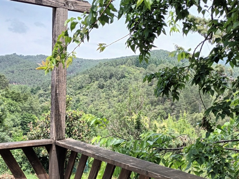 Photo n° 9 of the location