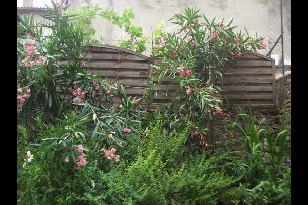 les fleurs