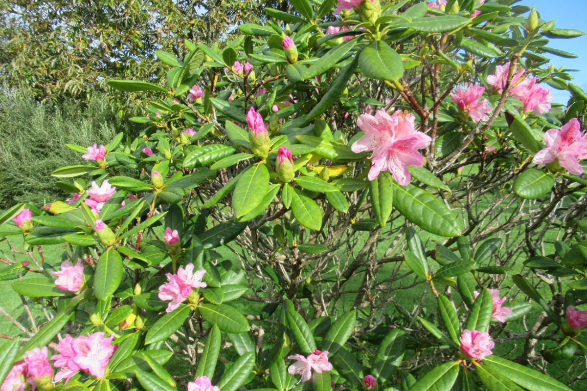 Photo n° 11 de la location