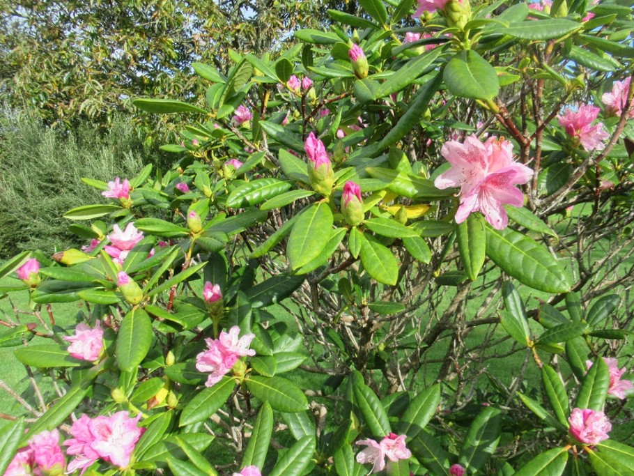 Photo n° 11 de la location