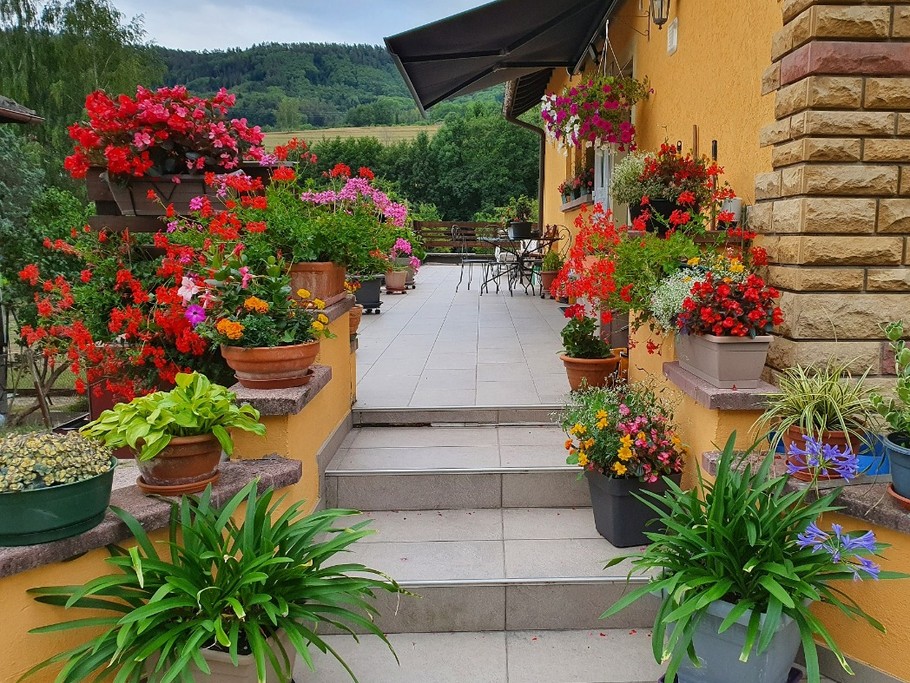 Photo n° 5 de la location