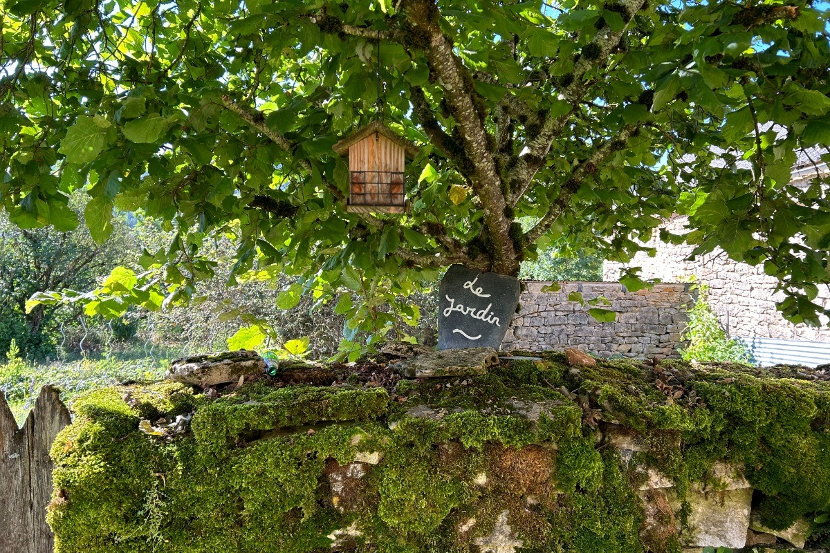 Photo n° 7 de la location