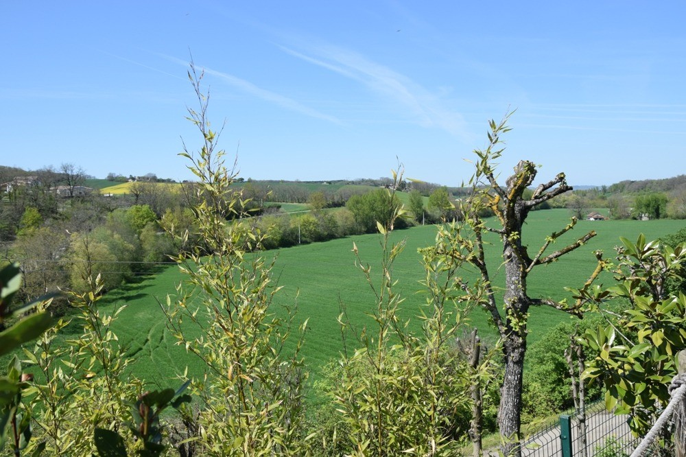 Photo n° 20 of the location